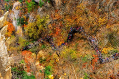 Du lịch Hàn Quốc: Ngắm bức tranh thiên nhiên hùng vĩ Seorak