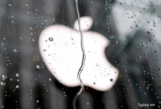 Apple: Vụ rò rỉ ảnh nóng là “tấn công có chủ đích”, không phải do lỗ hổng iCloud