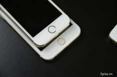Apple yêu cầu nhà chức trách Trung Quốc bắt ngay người rò rỉ hình ảnh iPhone 6