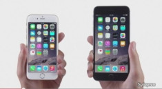 Bạn nên chọn iPhone 6 hay 6 Plus?