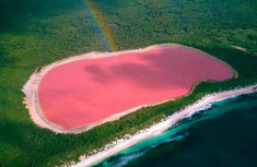 Bí ẩn hồ nước hồng ở Australia