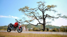 Bộ ảnh đẹp về Ducati Monster 795