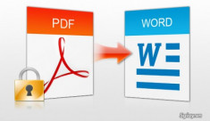 Cách chuyển đổi PDF sang Word Online không bị lỗi font chữ
