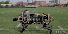 Chế tạo thành công robot báo đốm Ghê-pa