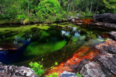 Chùm ảnh Cano Cristales, dòng sông ngũ sắc ấn tượng nhất thế giới