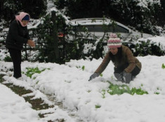 Chuyên gia khuyến cáo gì về đợt rét lạnh bất thường tại Sa Pa