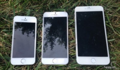 “Cò công nghệ” đã nhận đặt hàng trước iPhone 6 với giá 18 triệu đồng
