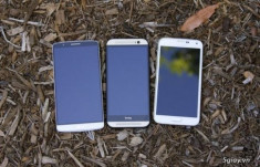 Cũng như LG G3 điện thoại LG G4 sẽ có rất nhiều biến thể mini