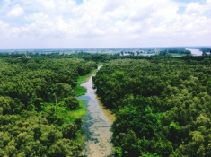 Điểm phượt “hòa mình vào thiên nhiên” cách Sài Gòn 100km
