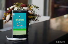 Flappy Bird có thể sẽ “tái xuất giang hồ” ?