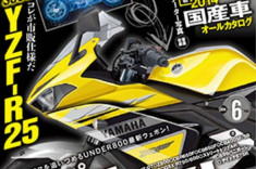 Hình ảnh Yamaha YZF-R25 bản sản xuất được công bố