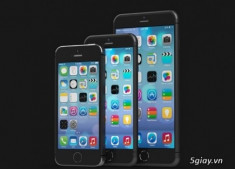 iPhone 6: hai kích cỡ màn hình ra mắt trong hai tháng 8 và 9