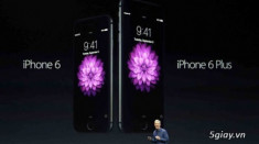 iPhone 6 và iPhone 6 Plus có gì khác nhau?