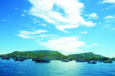 Khám phá đảo Lý Sơn xinh đẹp