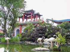 Làng Phước Lộc Thọ - nơi lưu giữ nhà gỗ cổ xưa Việt Nam