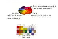 Màu cho không gian nội ngoại thất