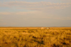 Mùa thu bình yên trên thảo nguyên Mông Cổ