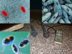 Phát hiện ổ vi khuẩn từ micro hát karaoke