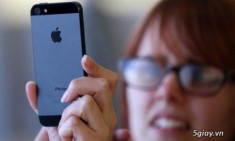 Sau iPad, iPhone 5S đuối sức trước giờ iPhone 6 ra mắt