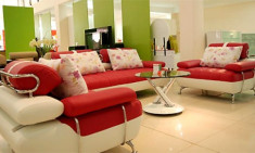 Sofa nhiều màu sắc