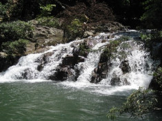 Thác Yang Bay, nàng công chúa giữa đại ngàn  