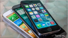 Trộm ngày càng chuộng Samsung hơn iPhone