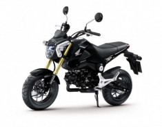 TƯ VẤN DÙM EM HONDA MSX 125 VỚI