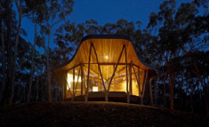 ‘Túp lều’ hiện đại giữa rừng cây