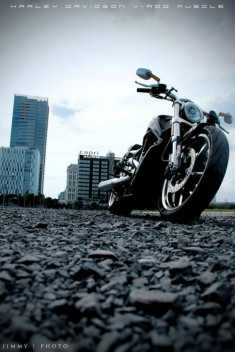 V-Rod Muscle 2014 - Mẫu xe cơ bắp Mỹ của Harley
