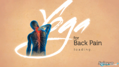 Yoga for Back Pain: phòng chống đau lưng nhờ Yoga