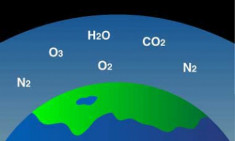 Điều gì xảy ra nếu như Trái Đất có nhiều khí oxy hơn?