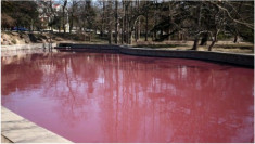 Hồ nước màu hồng ở Trung Quốc