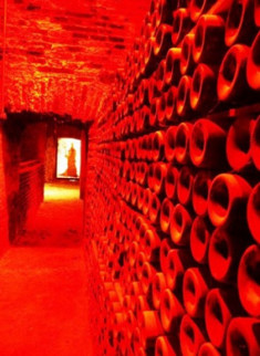 Khám phá hầm rượu của Quỷ đỏ tại Ashima