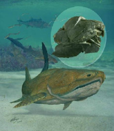 Phát hiện hóa thạch cá hơn 400 triệu năm tuổi