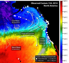 Phóng xạ Fukushima lan đến bờ biển Mỹ