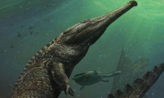 Quái vật cá sấu cổ đại nặng ba tấn sống dưới biển