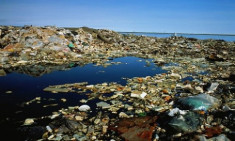 Rác nhựa thải xuống biển nhiều hơn số lượng cá vào năm 2050