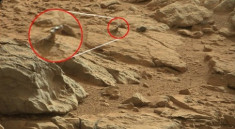 ‘Thằn lằn’ sao Hỏa theo dõi robot của NASA