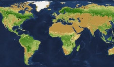 Thủ phạm triệt hạ phân nửa cây xanh trên Trái Đất