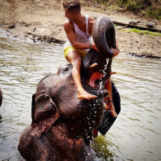Việc lạm dụng voi trong du lịch ở Việt Nam lên báo Mỹ