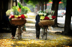 Việt Nam vào top 25 điểm đến lý tưởng để ‘nghỉ hưu’