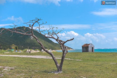 Điệp Sơn - hòn đảo hot nhất hè 2016 nếu bạn muốn đi biển