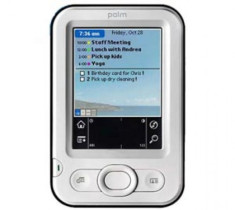 Palm Z22