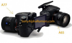 Ảnh Sony Alpha A77 và A65 xuất hiện