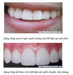 Hai yếu tố tạo nên hàm răng đẹp