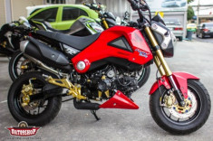 Honda MSX độ đơn giản nhưng đầy phong cách