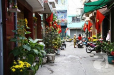 Khám phá nét đặc sắc Tết của người Hoa ở Sài Gòn