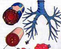 Phân biệt hen và bệnh COPD