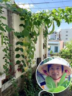 Vườn cây sai quả của các sao Việt trên sân thượng nhà phố