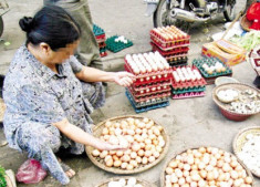 Trứng gà Trung Quốc siêu rẻ dễ mang dịch H7N9 vào VN